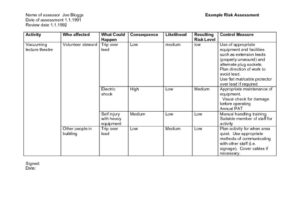 thumbnail of RCO-risk-assessment-example-1