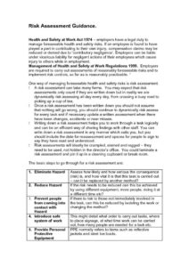 thumbnail of Risk-Assessment-Guidance