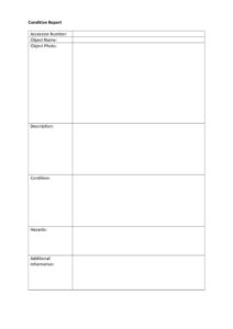 thumbnail of Condition Report TEMPLATE 1