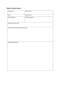 thumbnail of Condition Report TEMPLATE 2